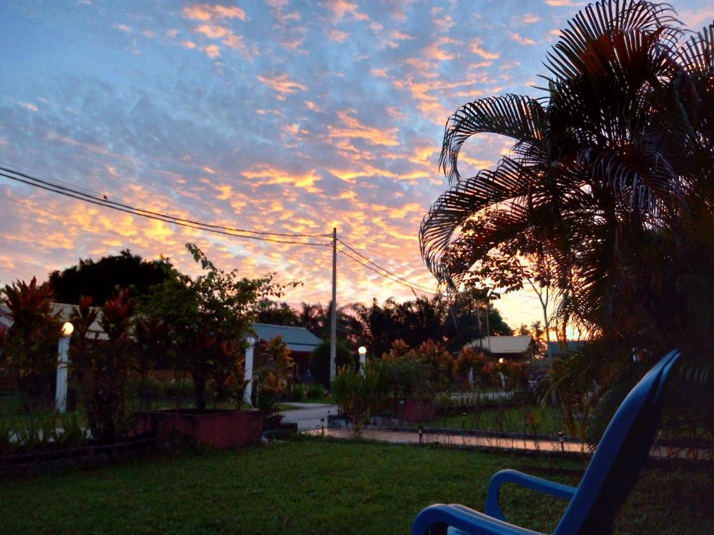 a sunset in a yard with a palm tree at Rainbow Lodge in Pantai Cenang