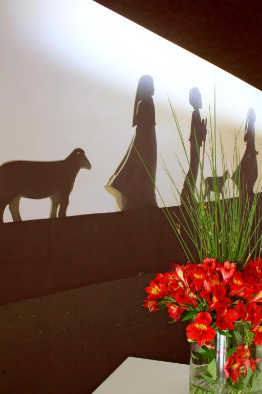 Pet ou pets ficando com hóspedes em Hotel Lagoa dos Pastorinhos