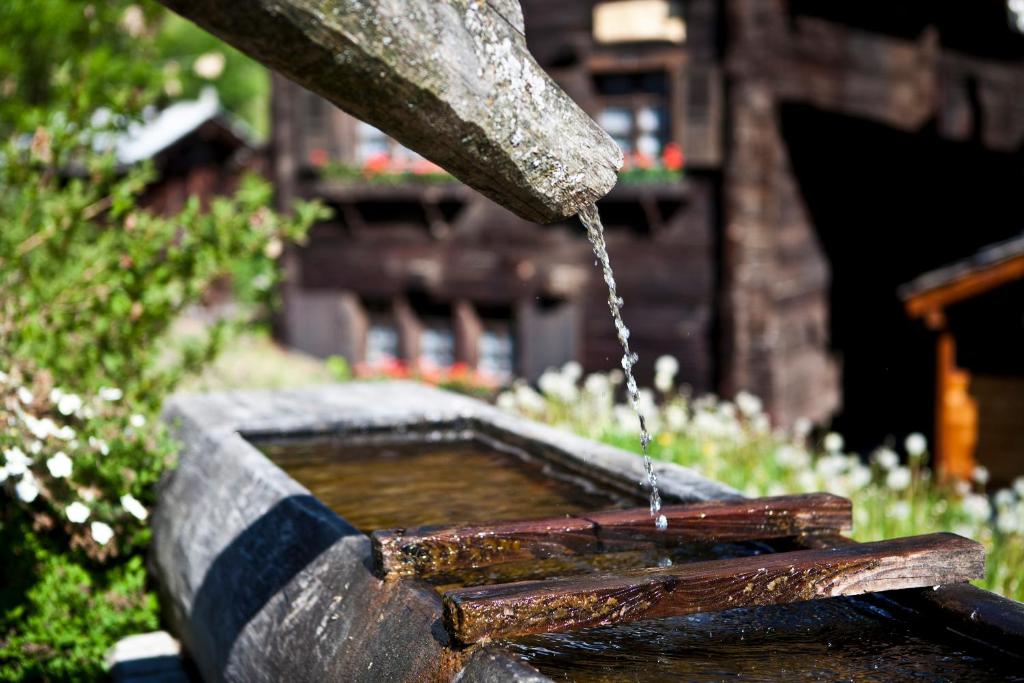 Zahrada ubytování Bergquell Haus A