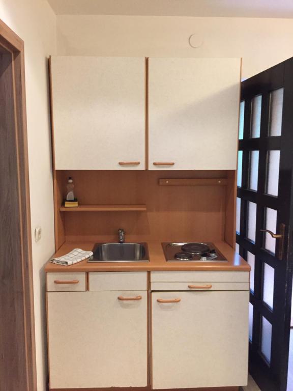 Kuchyň nebo kuchyňský kout v ubytování Apartmaji in sobe Tina