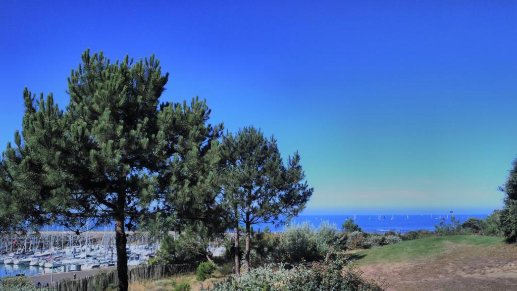 zwei Bäume auf einem Hügel mit dem Ozean im Hintergrund in der Unterkunft Figure de proue, Les Sables d Olonne, port Bourgenay, Talmont saint Hilaire in Talmont