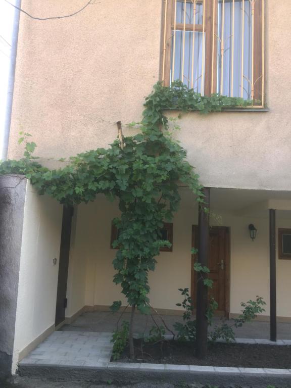 Budova, kde se penzion nachází