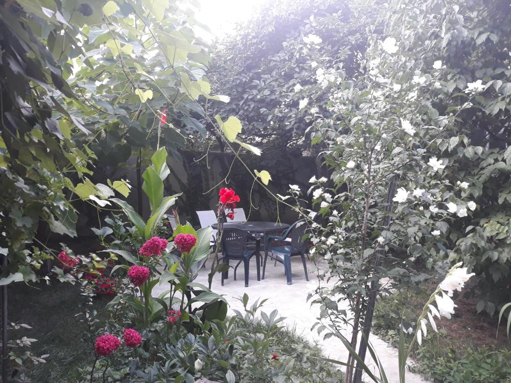 Zahrada ubytování Dima's Guesthouse