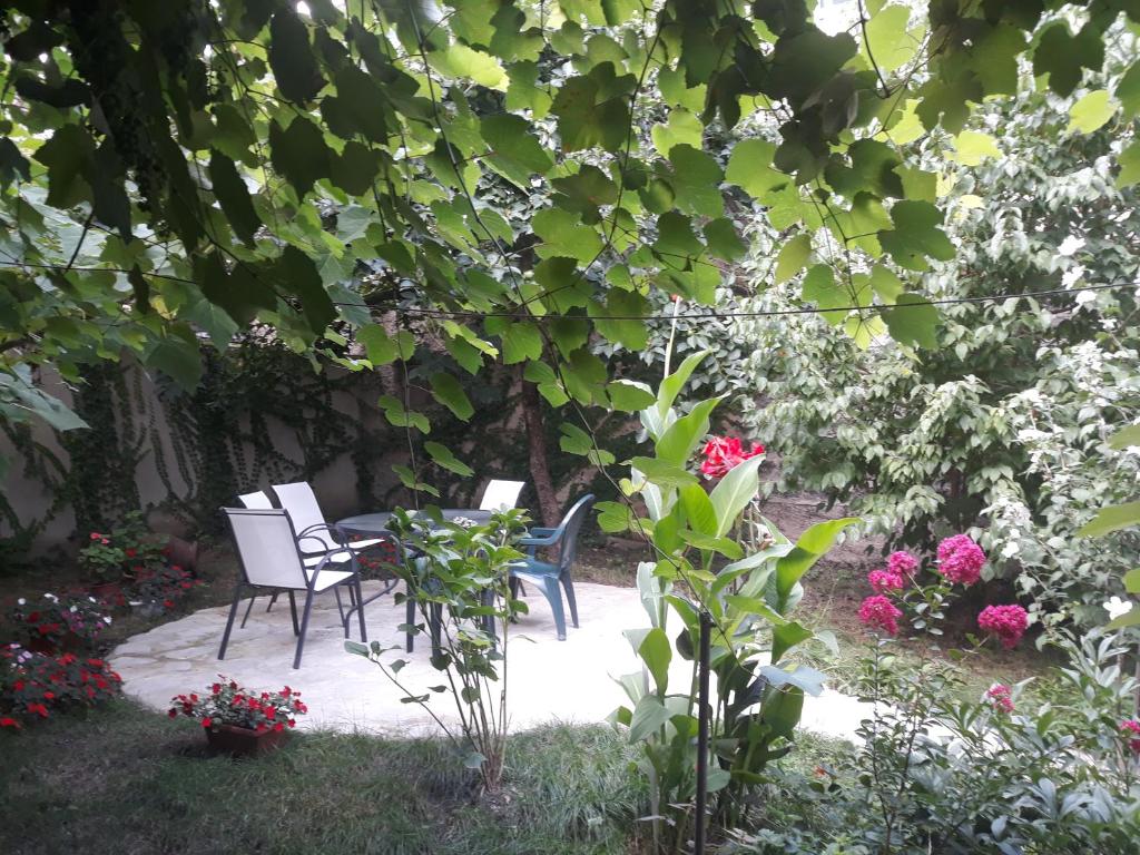 Zahrada ubytování Dima's Guesthouse