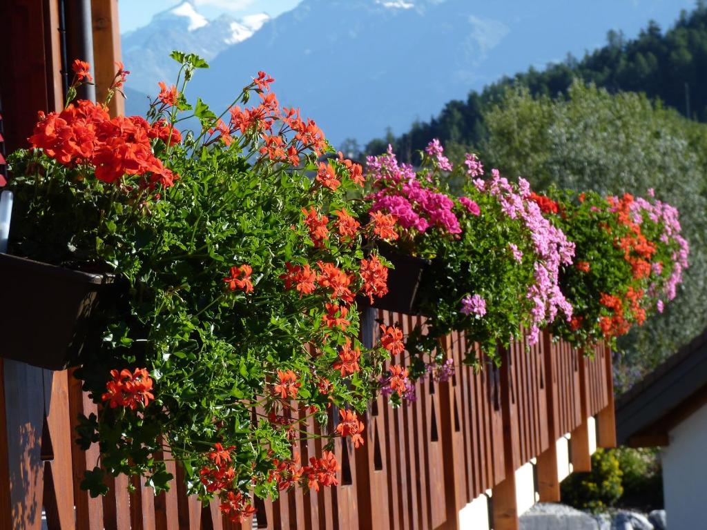 Fotografie z fotogalerie ubytování Chalet des Alpes v destinaci Crans-Montana
