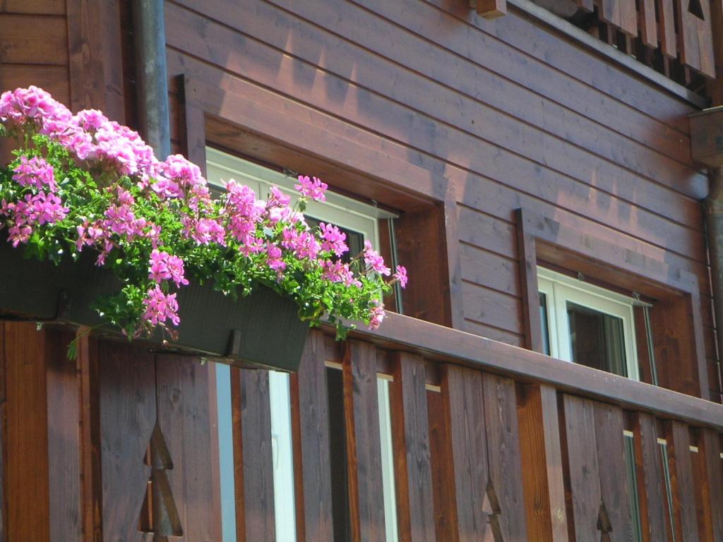 Fotografie z fotogalerie ubytování Chalet des Alpes v destinaci Crans-Montana