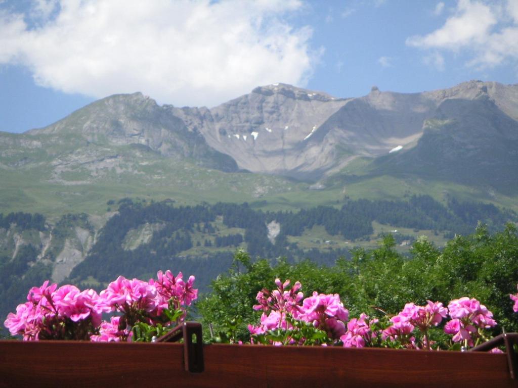 Fotografie z fotogalerie ubytování Chalet des Alpes v destinaci Crans-Montana