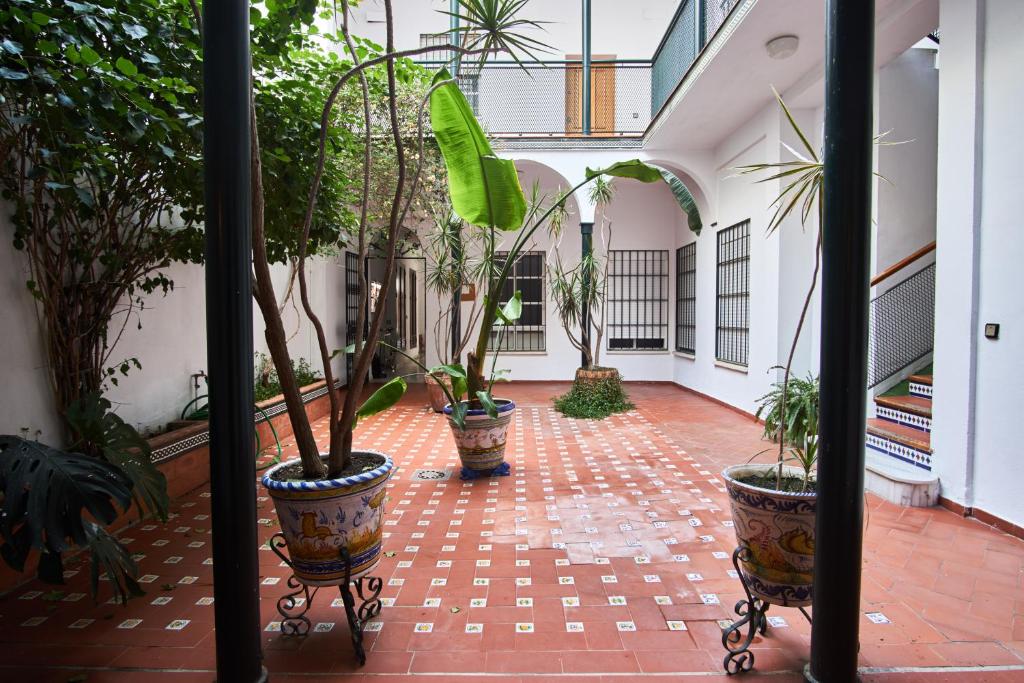 Pureza Dream by Valcambre, Sevilla – Precios actualizados 2022