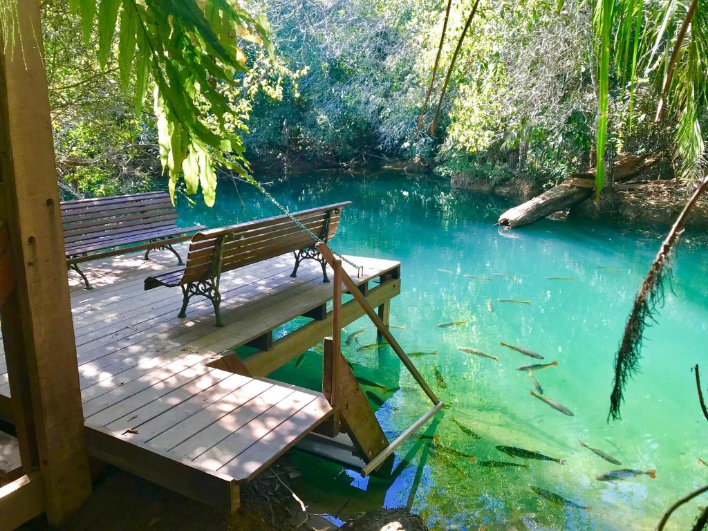 a wooden bench sitting on a dock in a river at Hotel Santa Esmeralda in Bonito