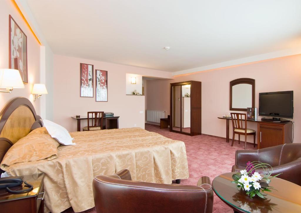 TV a/nebo společenská místnost v ubytování Hotel Ambient