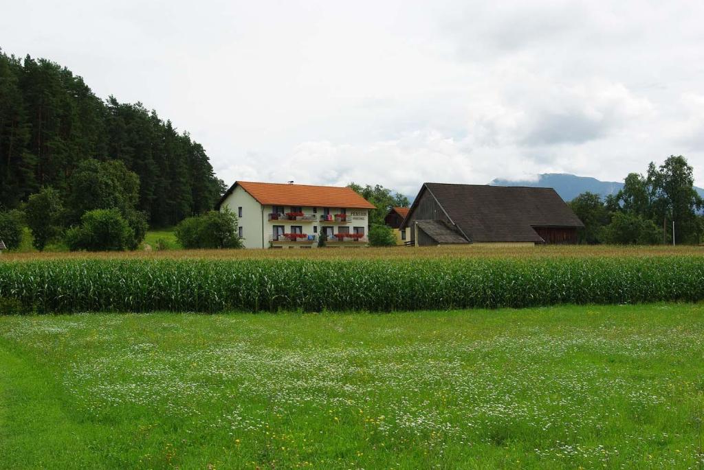 Příroda nedaleko penzionu