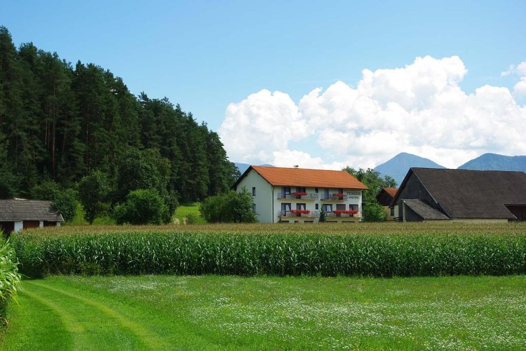 Příroda nedaleko penzionu