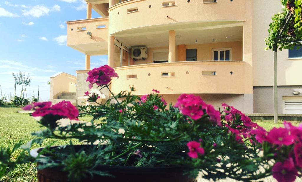 Un edificio con flores rosas en el frente. en Apartments Vali, en Ulcinj
