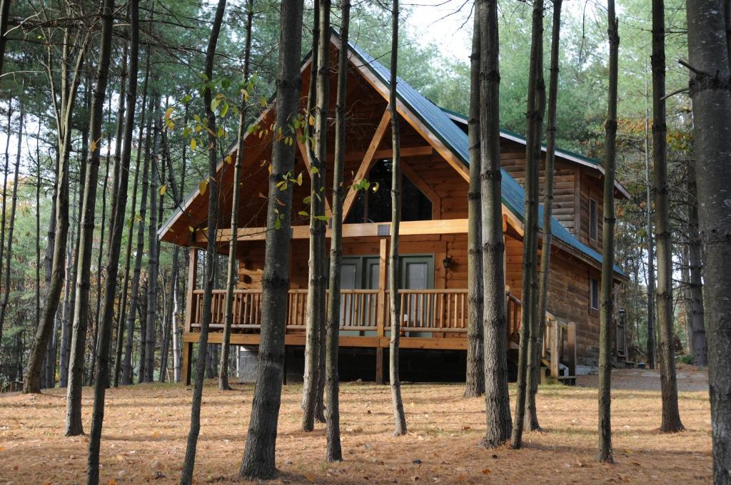 una cabaña de madera en medio del bosque en The Cabins at Pine Haven - Beckley, en Beaver