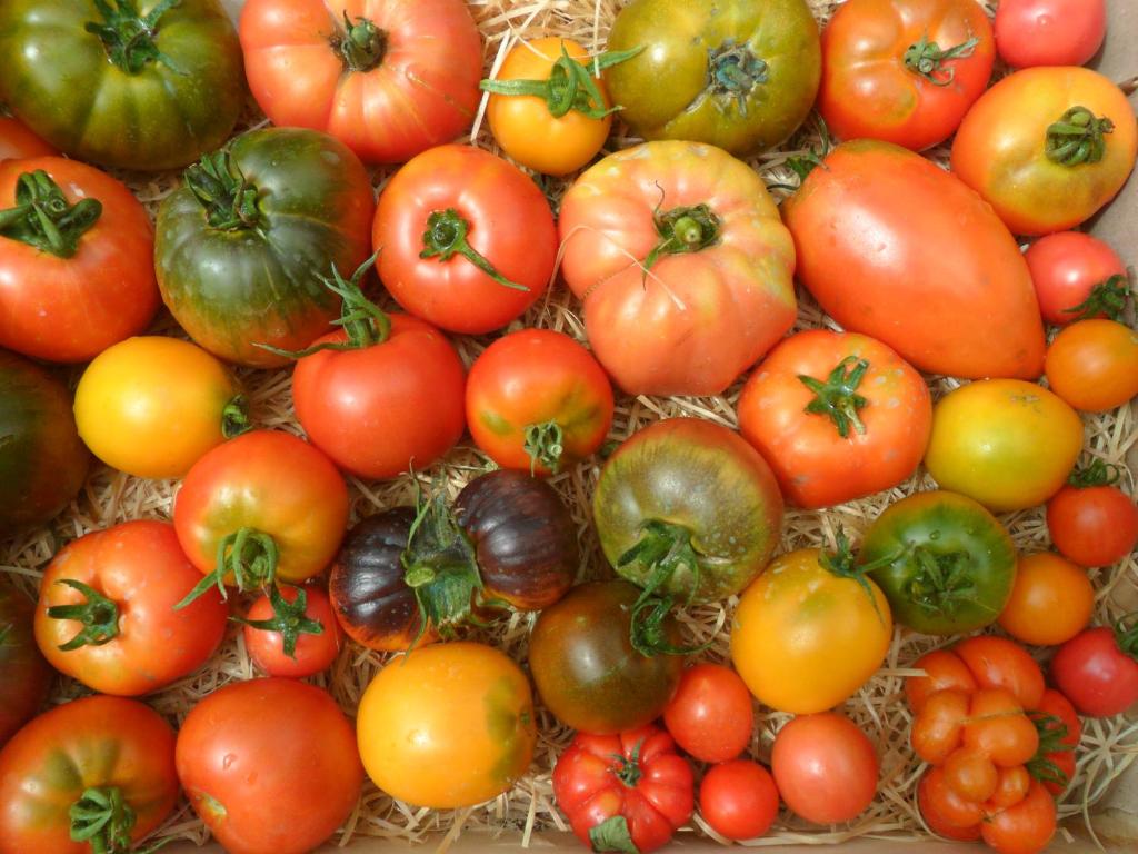 un montón de tomates sentados uno encima del otro en Chambres d'Hôtes La Turone, en Cheillé