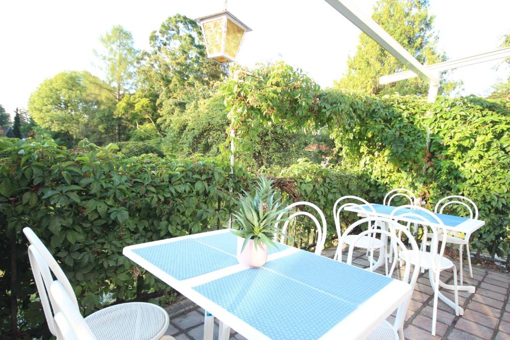 Zahrada ubytování Hotel Villa Sisi