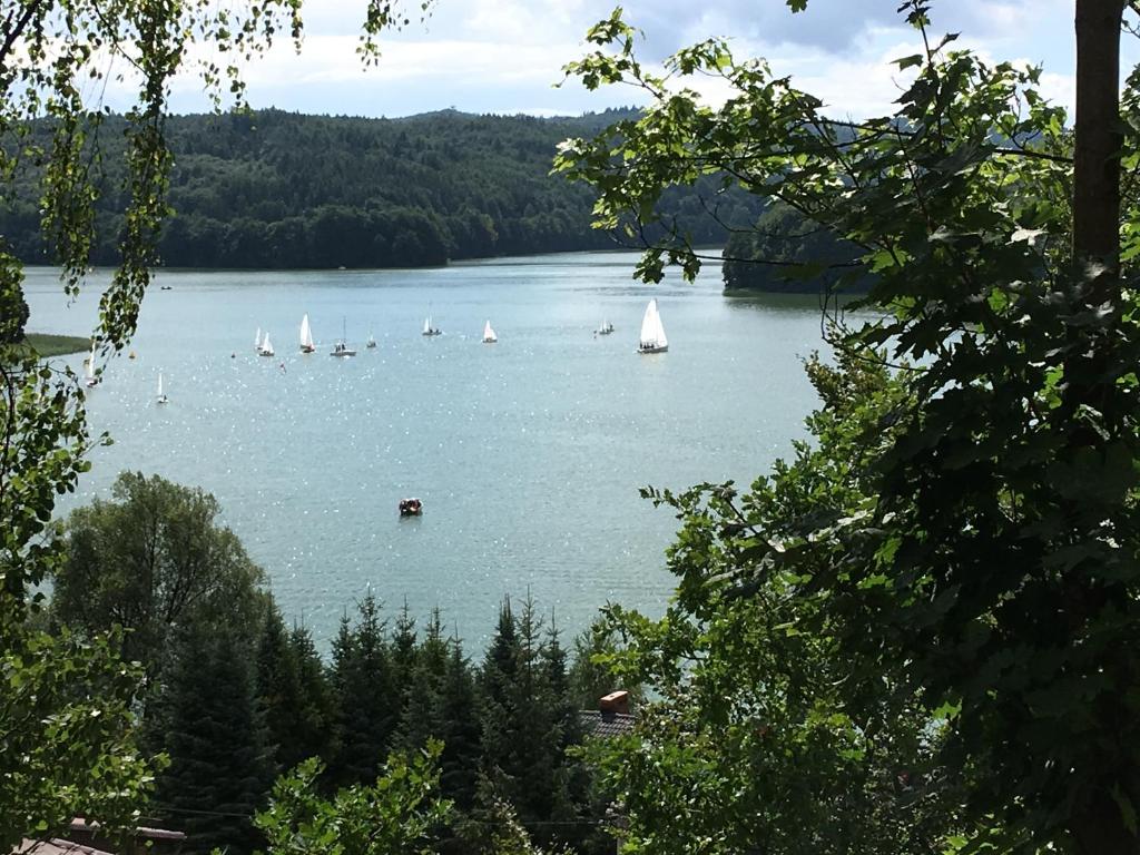 オストシツェにあるRozalinの木の水中の帆船湖