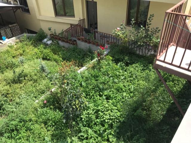 Zahrada ubytování GuestHouse M22