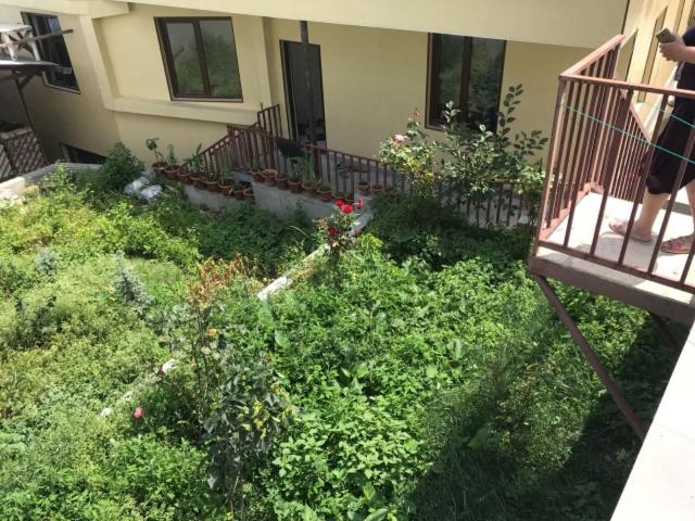 Zahrada ubytování GuestHouse M22