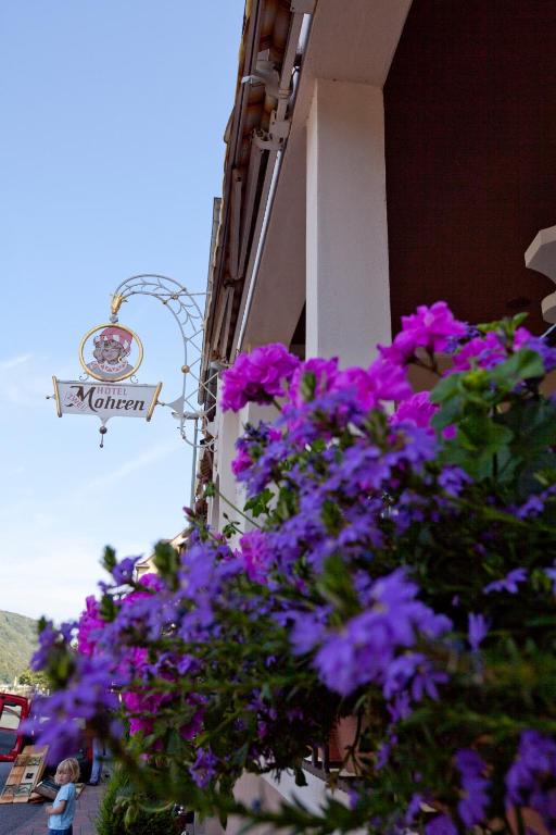 Zahrada ubytování Hotel Zwei Mohren