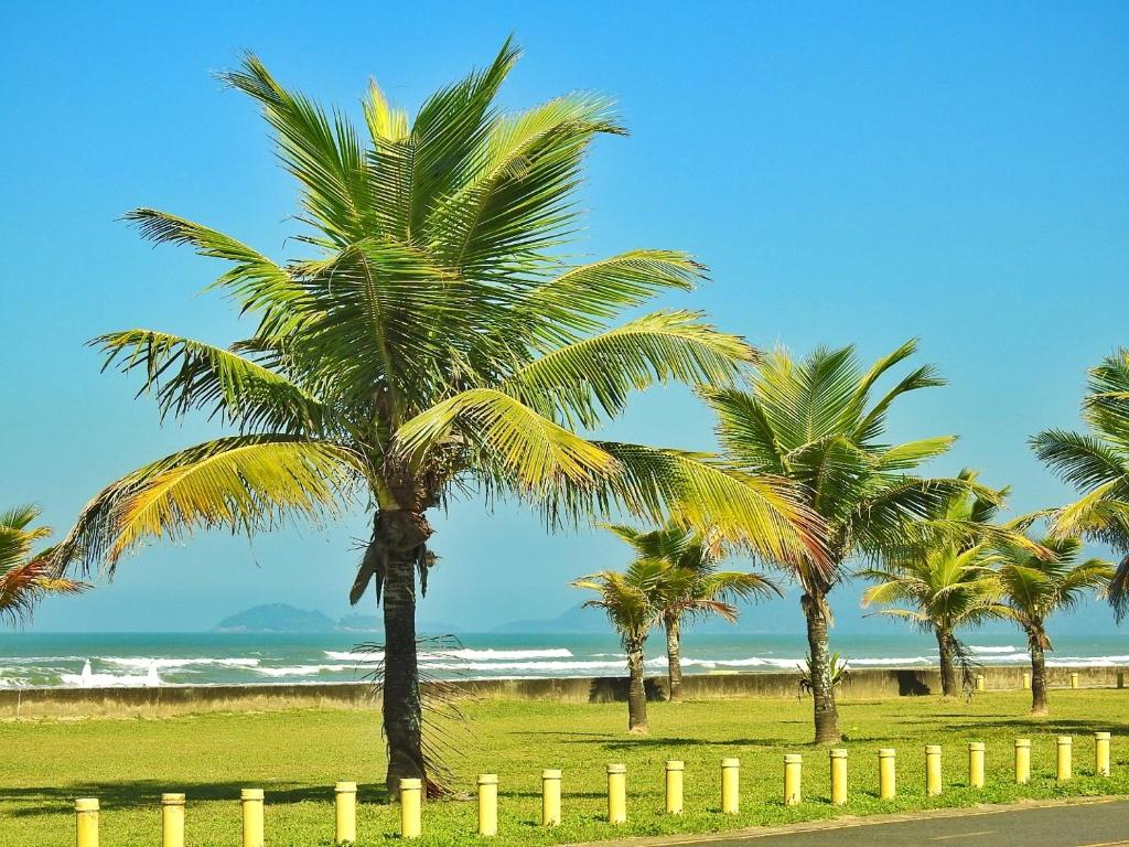  Mongagua apartamento frente mar