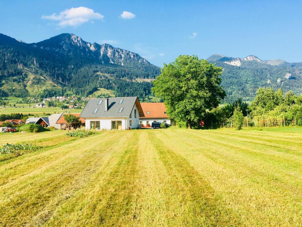 Příroda nedaleko apartmánu