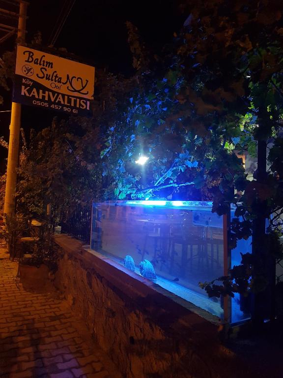 a building with blue lights on it at night at Balim Sultany in Çeşme