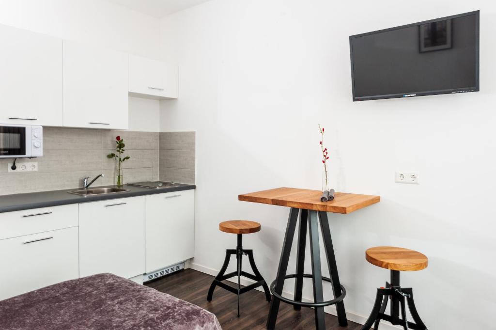 Kuchyň nebo kuchyňský kout v ubytování Aparthotel Lenau