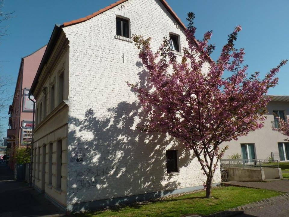 ein weißes Gebäude mit einem Baum davor in der Unterkunft 404-Hostel in Köln