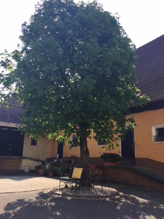 Fotografie z fotogalerie ubytování Gästehaus - Kretschmannshof v destinaci Oberasbach