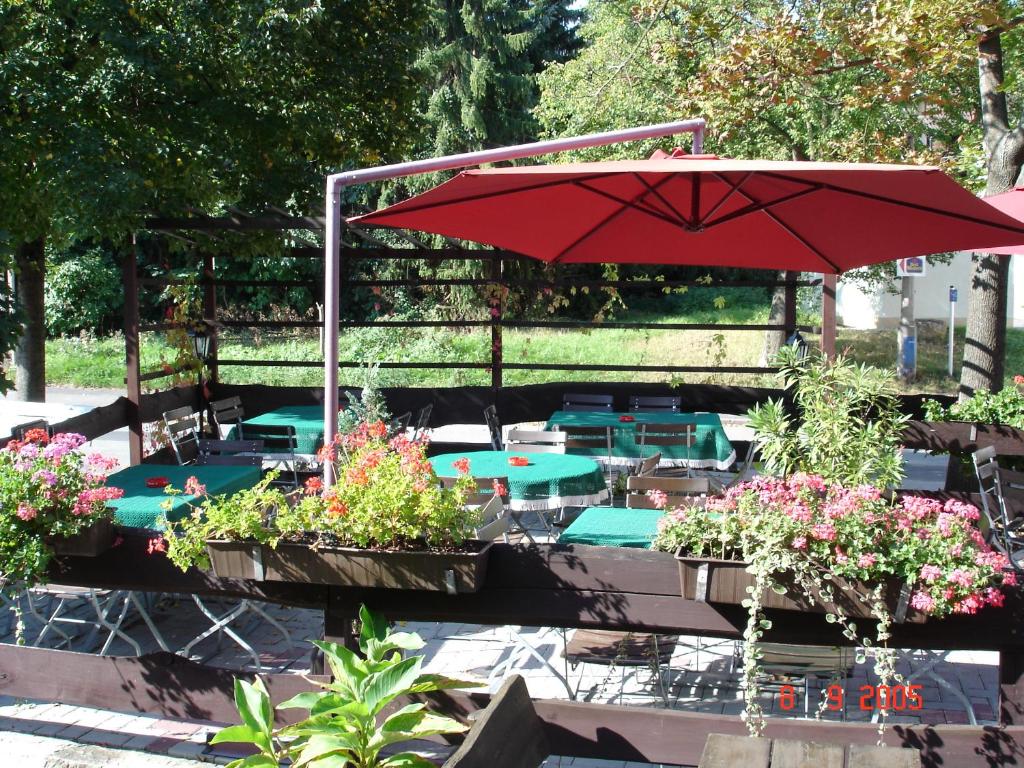 Zahrada ubytování Hotel & Restaurant Zur Weintraube