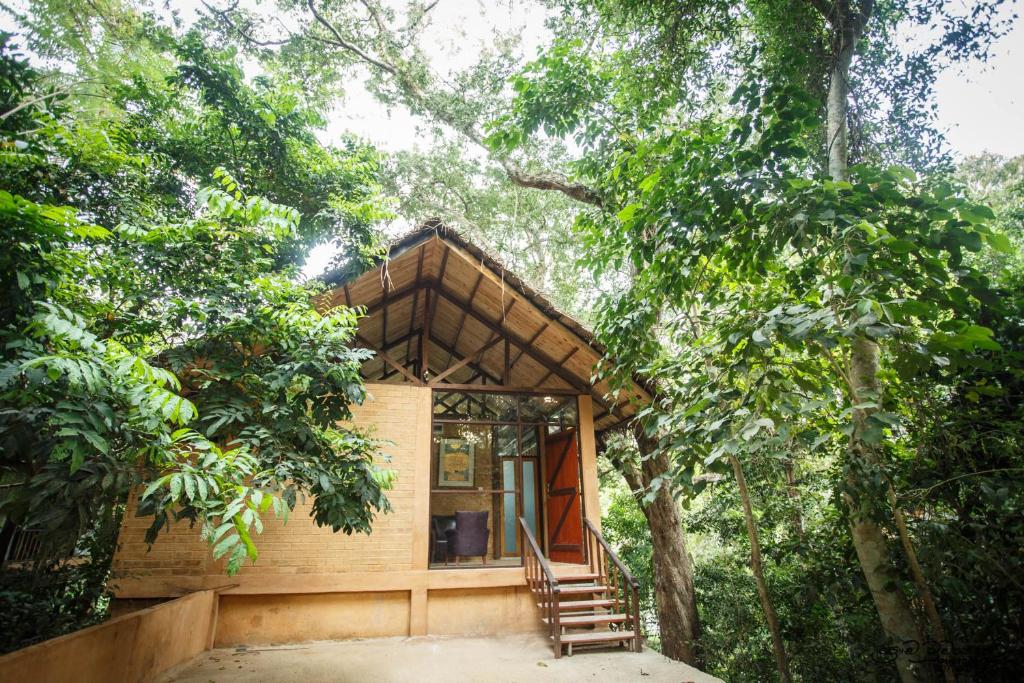 Zahrada ubytování Jungle Village Unawatuna