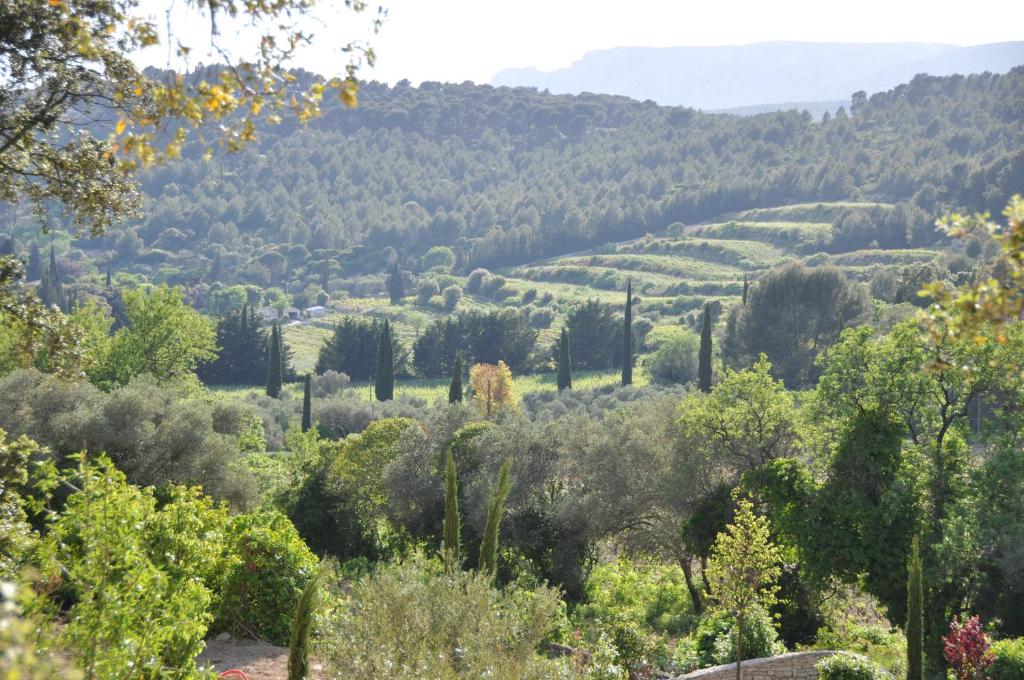 Gambar di galeri bagi Mas du Perthus di Cassis