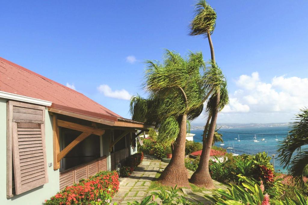 a house with two palm trees next to a walkway at Le Panoramic in Les Trois-Îlets