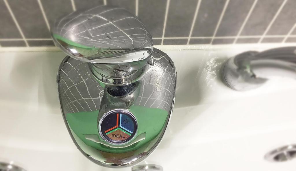 Holiday House Viola - 18