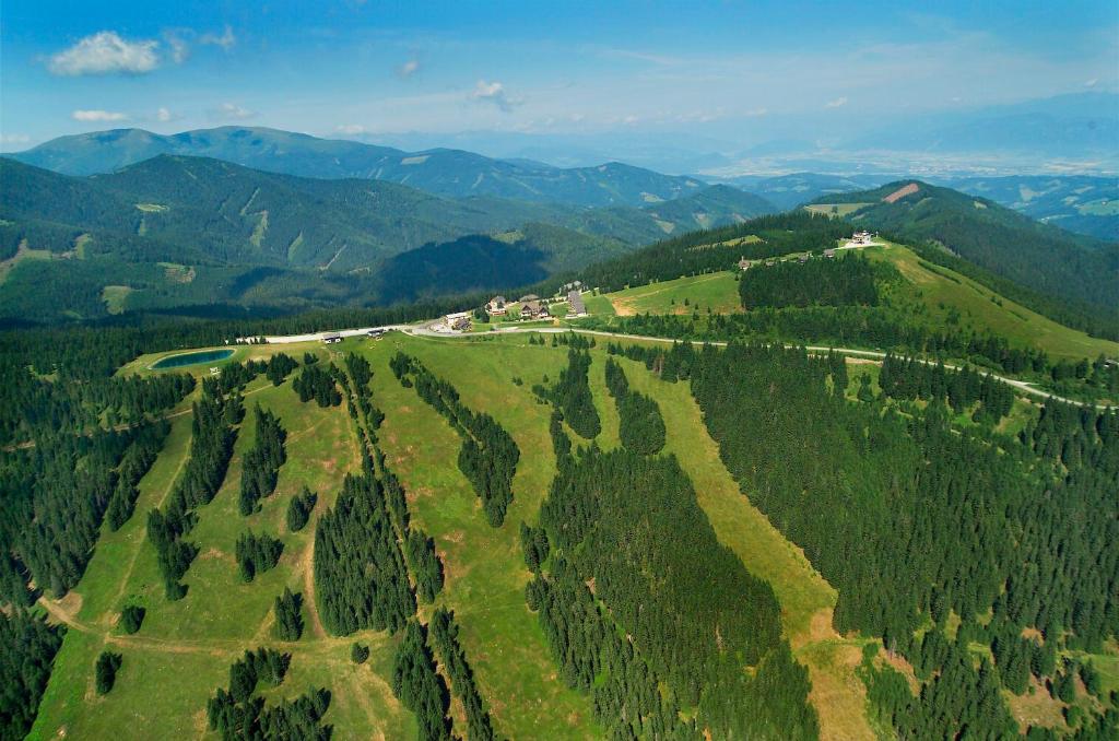 an aerial view of a forest of trees on a hill at Stubalm Appartements in Salla