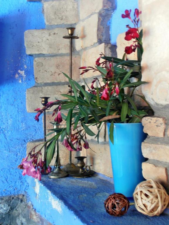 A garden outside Ilios Studios