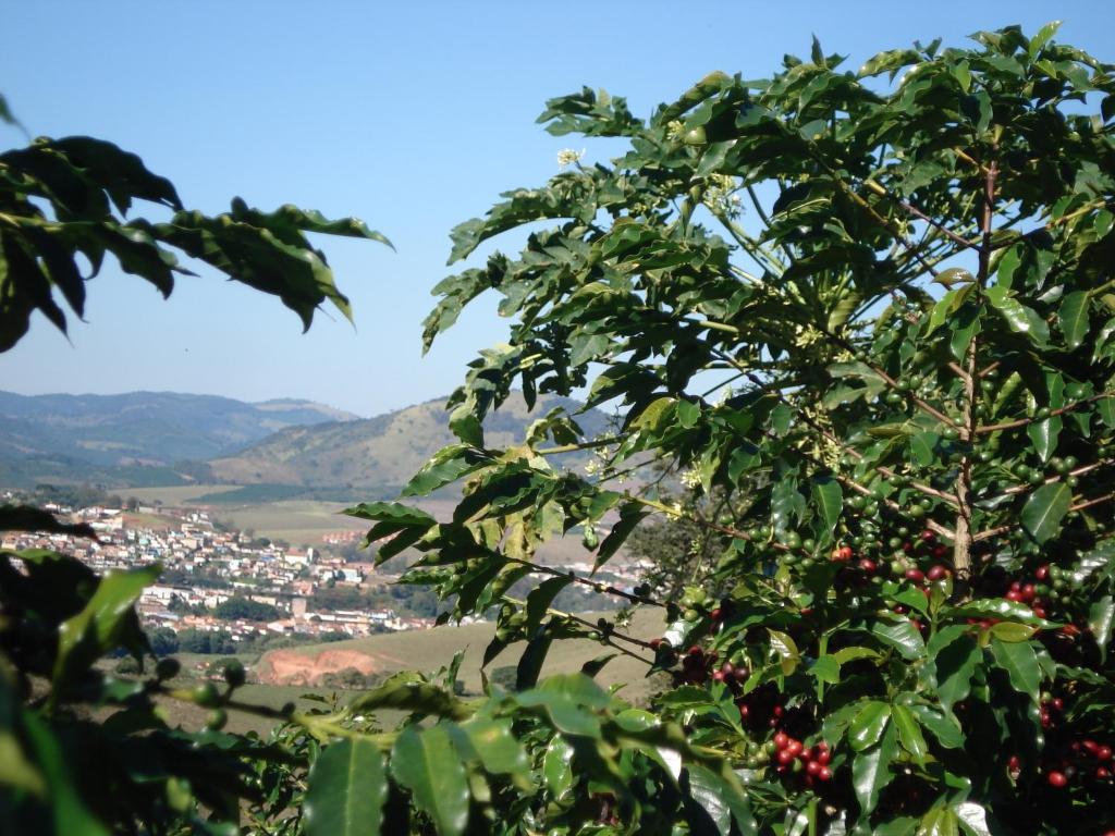  Pousada Lambari Montanha Hotel
