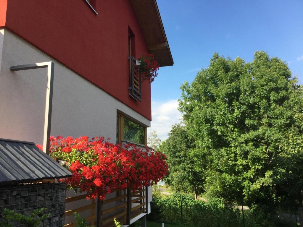 Zahrada ubytování Vila Anna