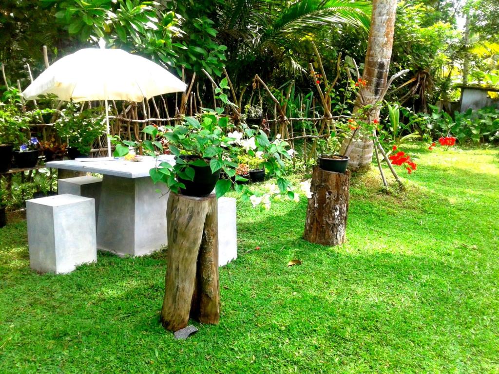 Zahrada ubytování Coconut Grove - Midigama