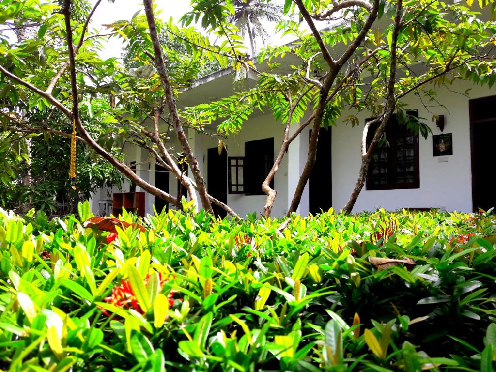 Zahrada ubytování Coconut Grove - Midigama
