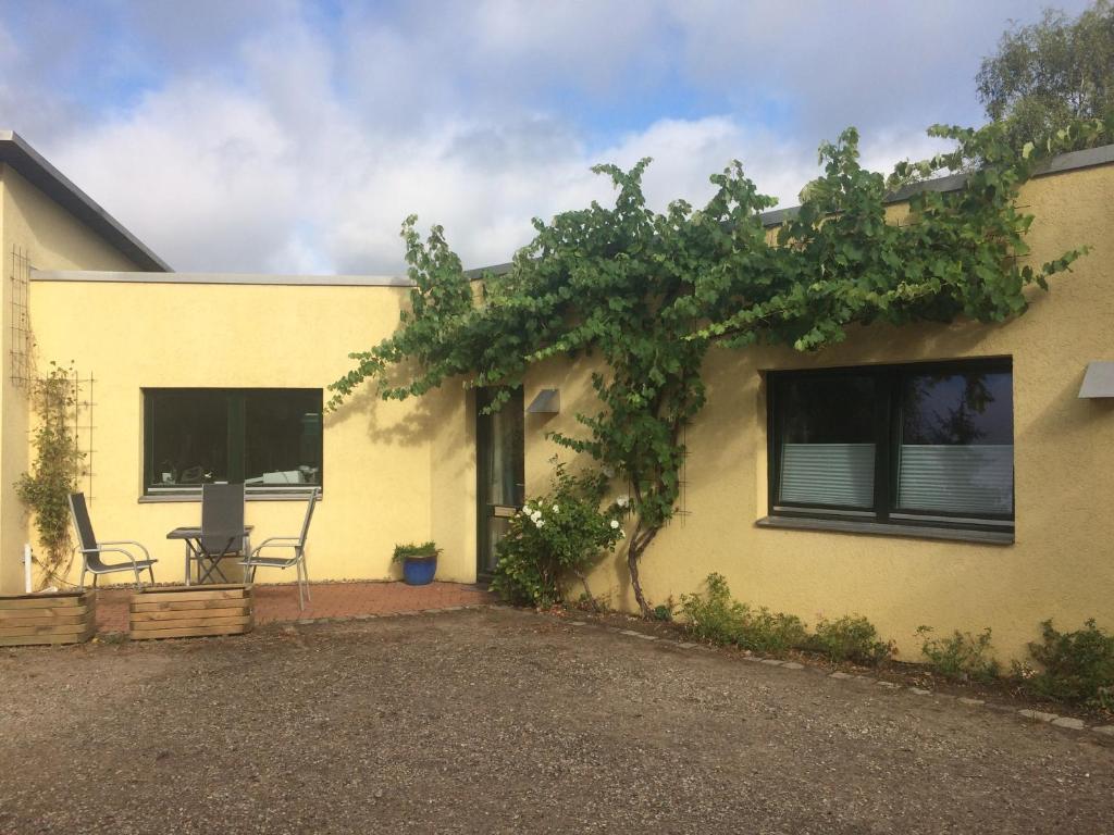 una casa gialla con due sedie e un albero di Apartment Reetblick a Kiel