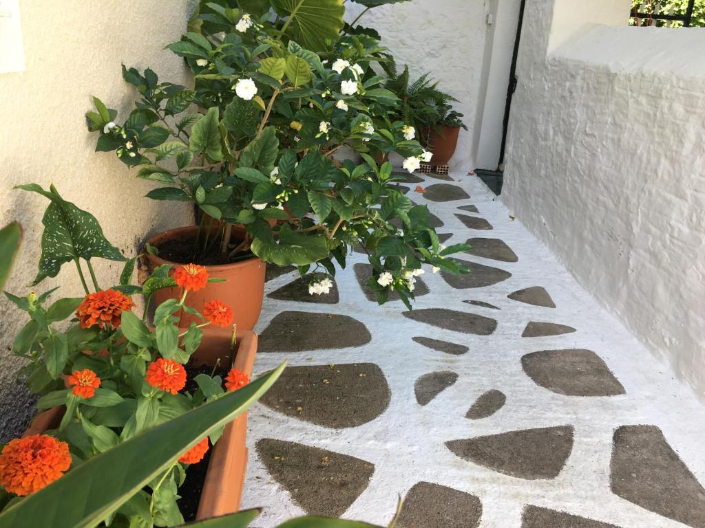 a walkway with flowers and plants in pots at Toula's house 2 in Spetses