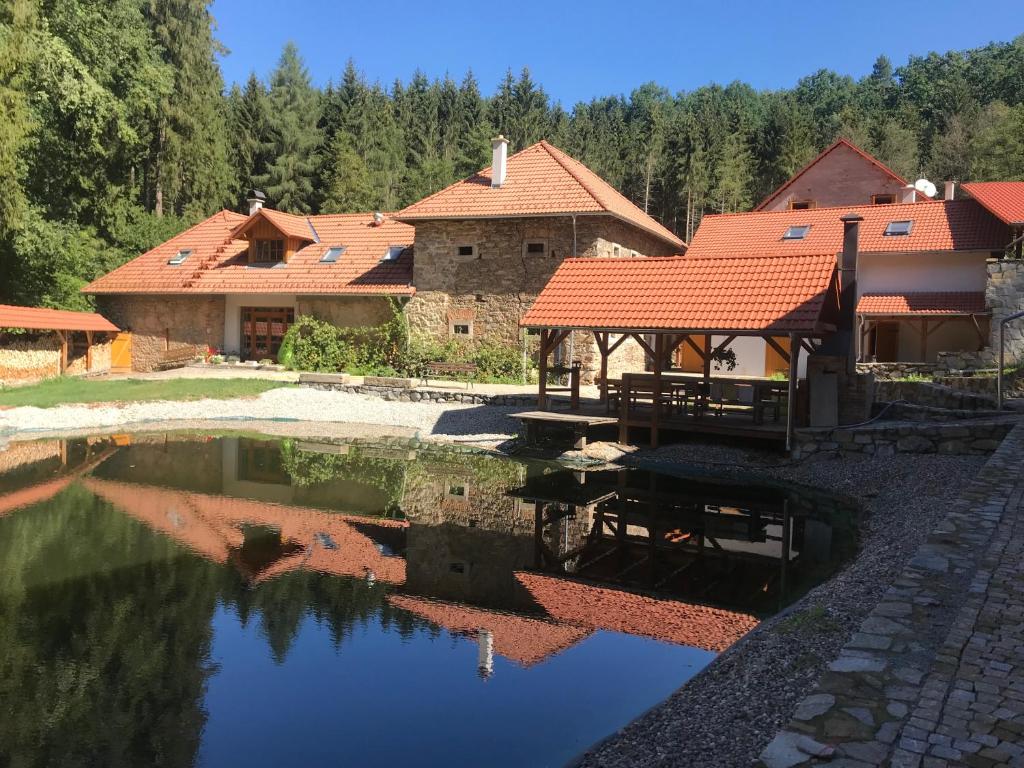 eine Gruppe von Gebäuden mit einem Teich davor in der Unterkunft Zevlův mlýn in Nové Hrady
