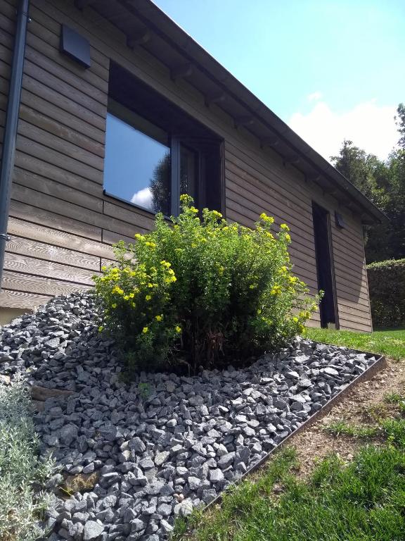 Zahrada ubytování Ferienhaus "Haus Sommerstieg"