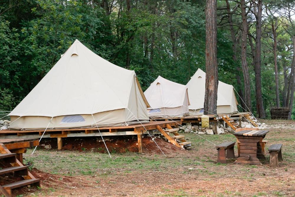 Camp 'Dvor' bell tent accommodation في Manjadvorci: صف من الخيام البيضاء تقف في غابة