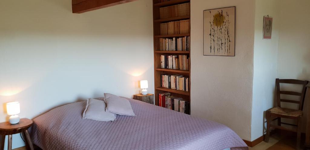 a bedroom with a bed and a book shelf with books at La Petite Maison des Artistes in Castelnau-Pégayrols