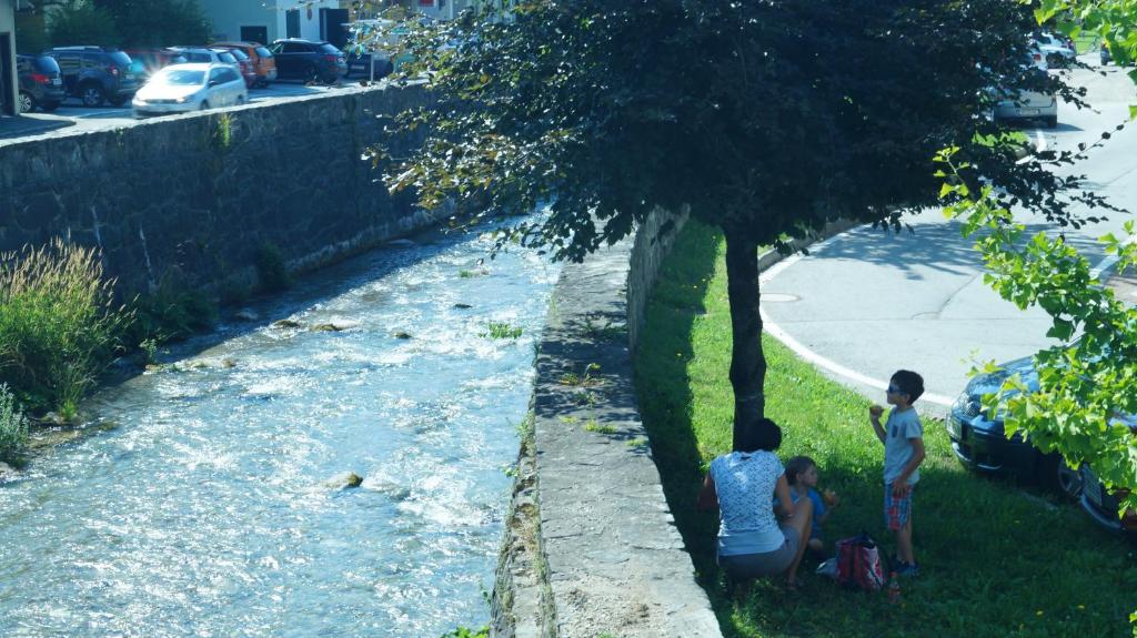 Hostia v ubytovaní Ferienwohnungen Dzido