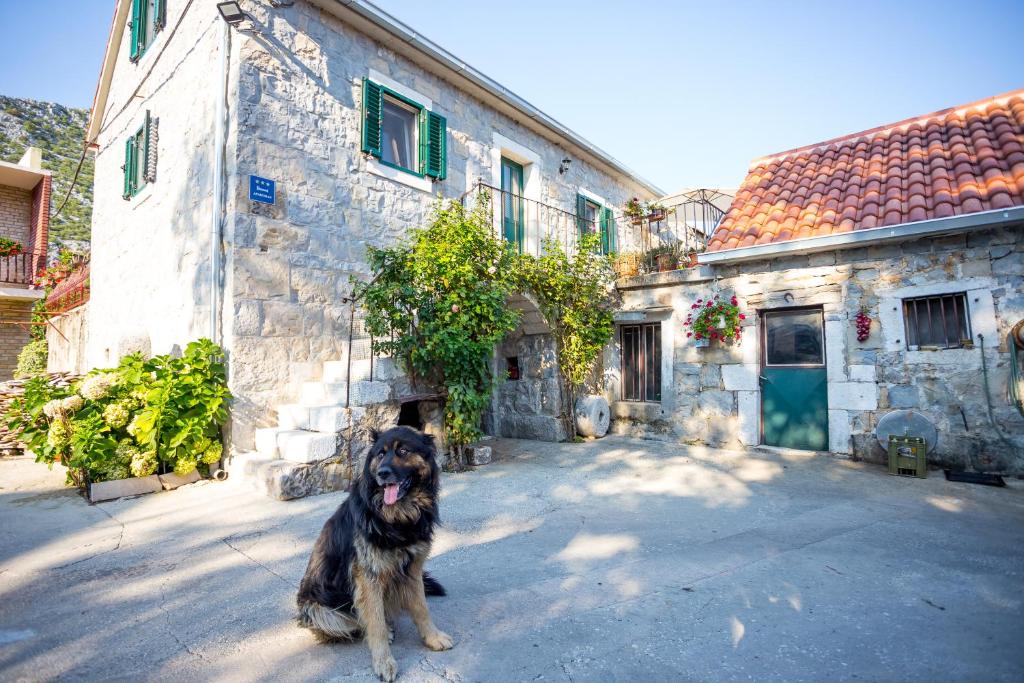 Fotografie z fotogalerie ubytování Apartmani Rebac v destinaci Gata
