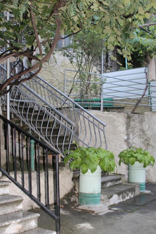 Jardí fora de mariko